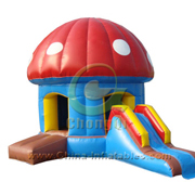 inflatable mushroom combos